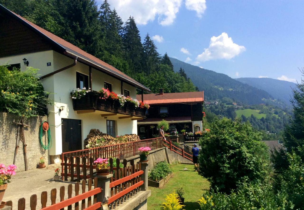 Panoramahaus Appartement Radenthein Buitenkant foto